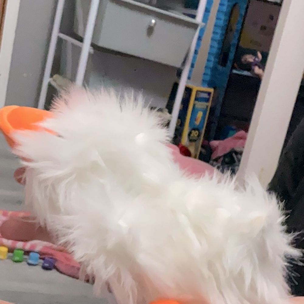 Small platypus, it is white and orange. Very very fluffy. Amazing to cuddle.